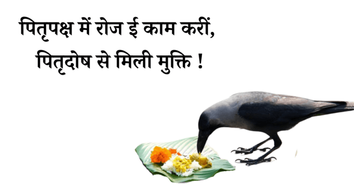 Do this every day during Pitru Paksha, and you will get relieved by Pitrudosh! (1) Do this every day during Pitru Paksha, and you will get relieved by Pitrudosh!